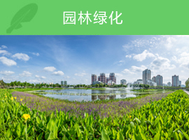 香港六宝典资料大全